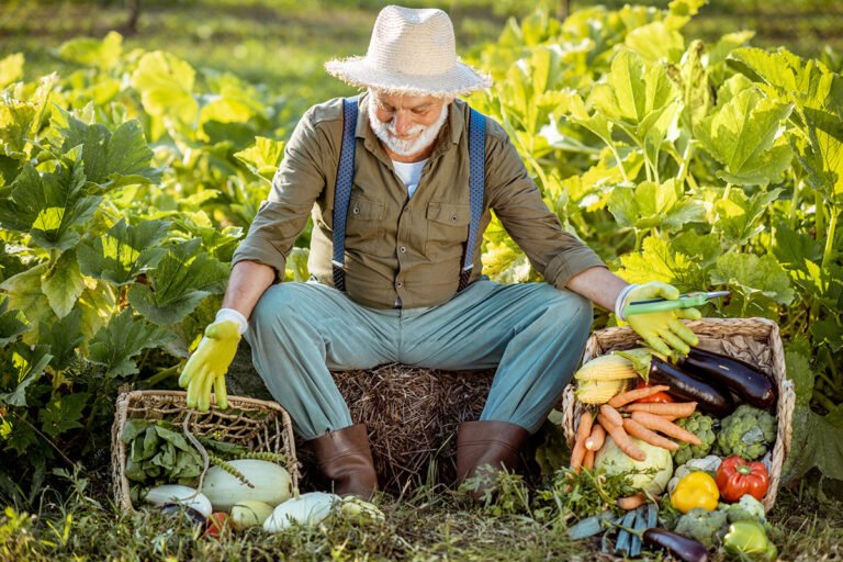 Fresh Fruits & Vegetables In Our New Markets